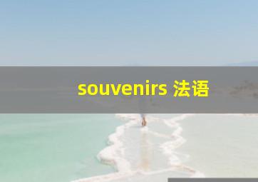 souvenirs 法语